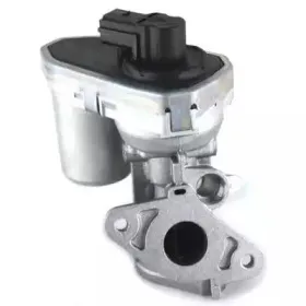 hoffer-7518137