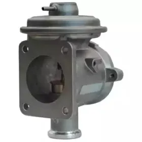 hoffer-7518191