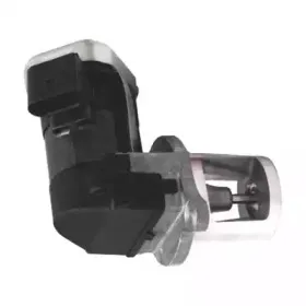 hoffer-7518204