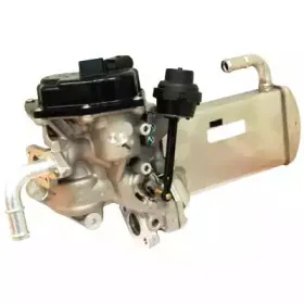 hoffer-7518220