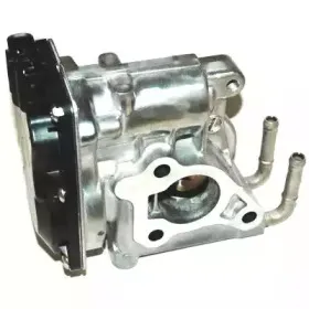 hoffer-7518230