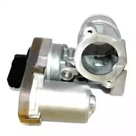 hoffer-7518239