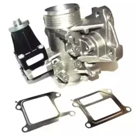 hoffer-7518252