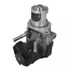 hoffer-7518254