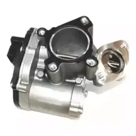 hoffer-7518258