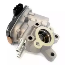 hoffer-7518276