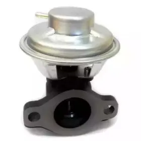 hoffer-7518287