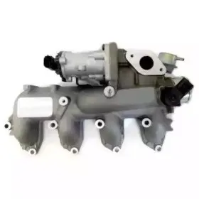 hoffer-7518289