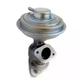 hoffer-7518313