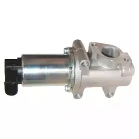 hoffer-7518516