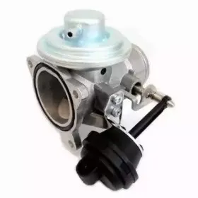 hoffer-7518552