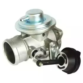hoffer-7518570