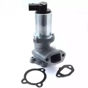 hoffer-7518592