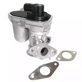 hoffer-7518637