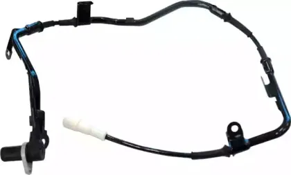 hoffer-8290260