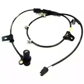 hoffer-8290306