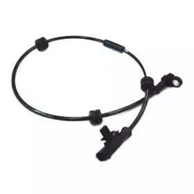 hoffer-8290359