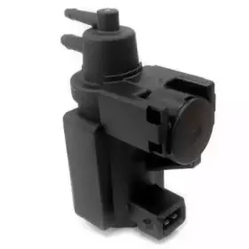 hoffer-8029085