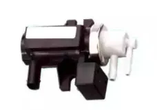 hoffer-8029129