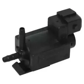 hoffer-8029137