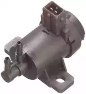 hoffer-8029184