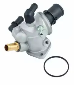 hoffer-8192027