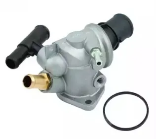 hoffer-8192031
