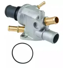 hoffer-8192048
