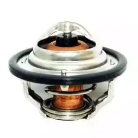 hoffer-8192093