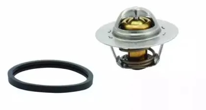 hoffer-8192145
