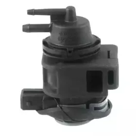 hoffer-8029220