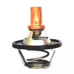 hoffer-8192247