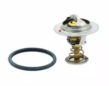 hoffer-8192259