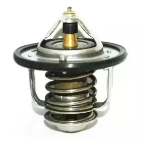 hoffer-8192278