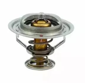 hoffer-8192287