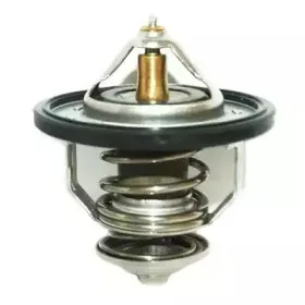 hoffer-8192294