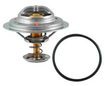 hoffer-8192318