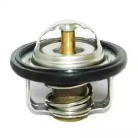 hoffer-8192335