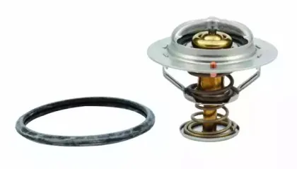 hoffer-8192343