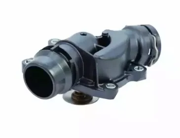 hoffer-8192351
