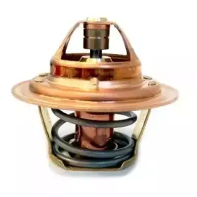 hoffer-8192388