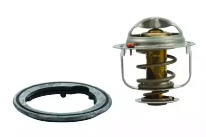 hoffer-8192410