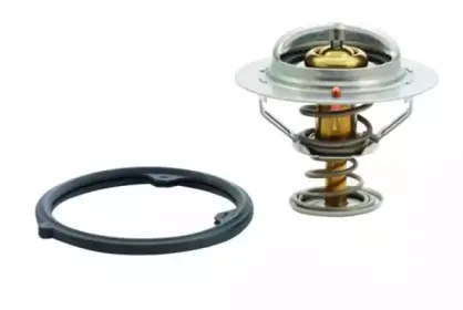 hoffer-8192412