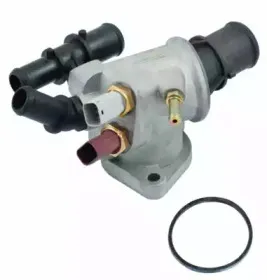 hoffer-8192418