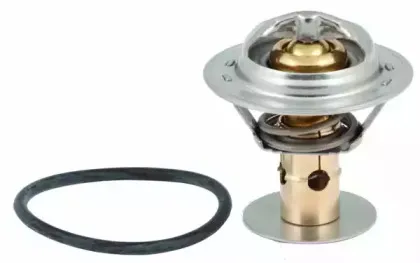 hoffer-8192419