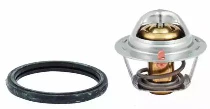 hoffer-8192433
