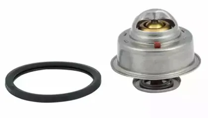hoffer-8192464