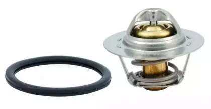 hoffer-8192465