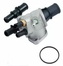 hoffer-8192481