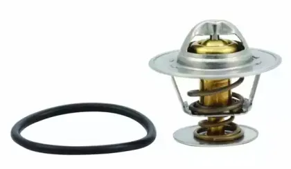 hoffer-8192505